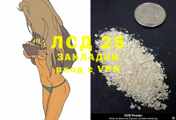 PSILOCYBIN Абаза