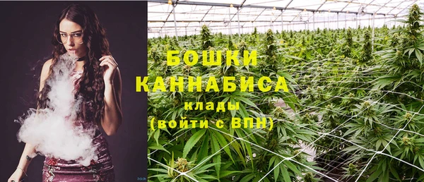 PSILOCYBIN Абаза
