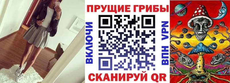 Псилоцибиновые грибы Cubensis  Шарыпово 