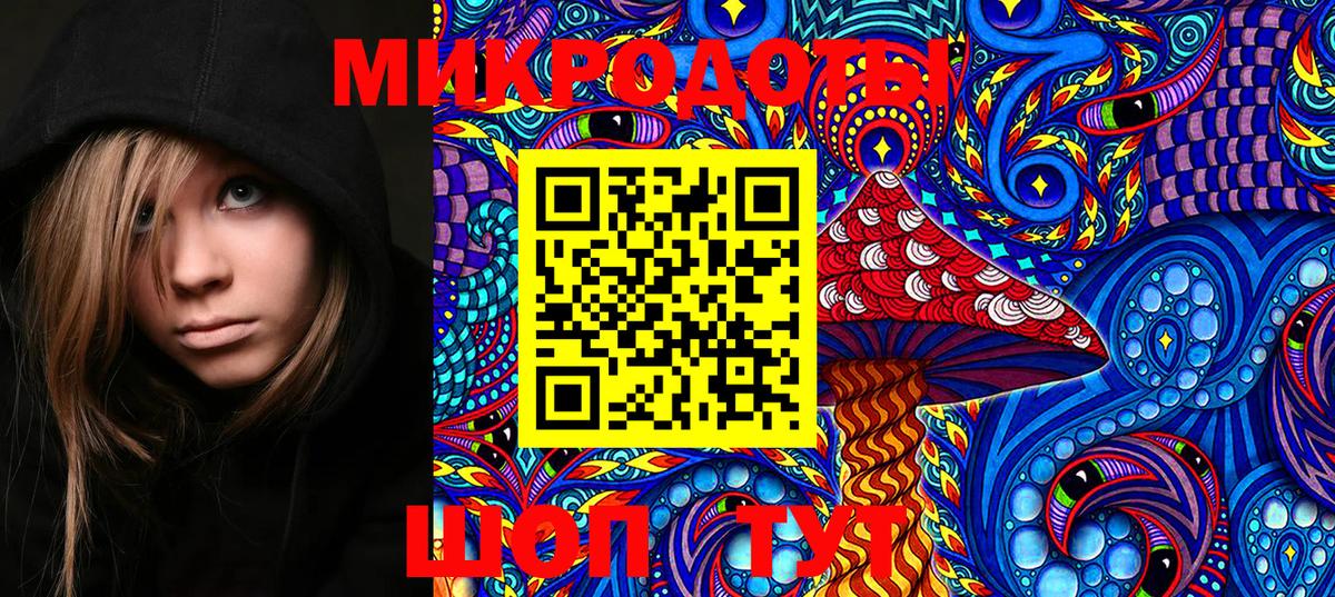 Шарыпово  Псилоцибиновые грибы MAGIC MUSHROOMS  Вход с VPN  Псилоцибиновые грибы Cubensis 
